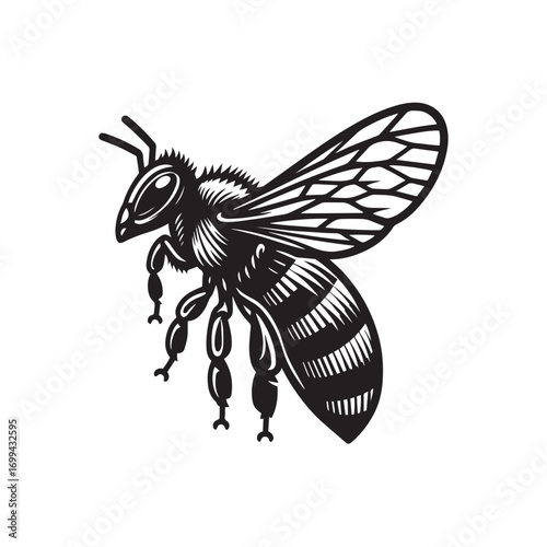 vector illustration of a bee