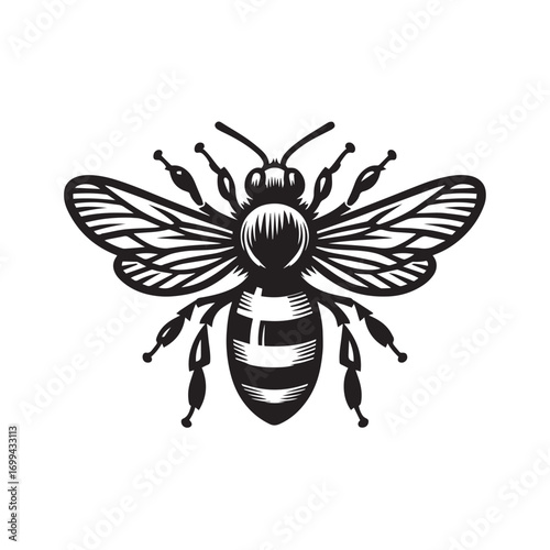 bee vector illustration