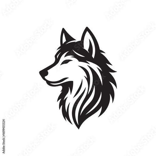 wolf vector illustration