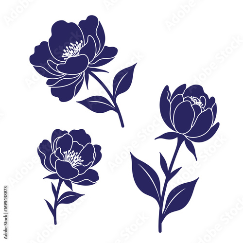 Elegant vector illustration of deep blue peonies with leaves on white background