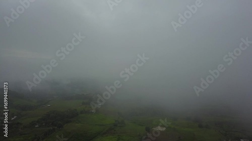 Thick valley fog. A dark pine forest is in the foreground, creating a dramatic and atmospheric alpine landscape.
