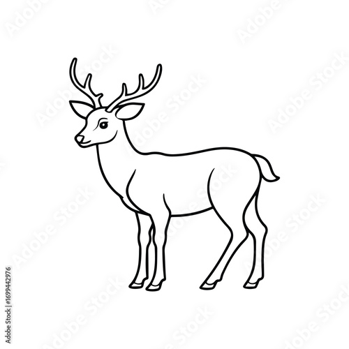 deer line art, black outline, coloring book page vector illustration