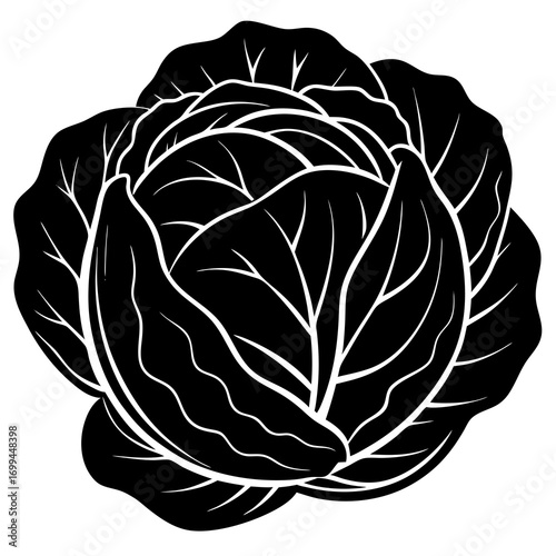 Stylized black and white silhouette of a fresh cabbage head with visible leaf veins