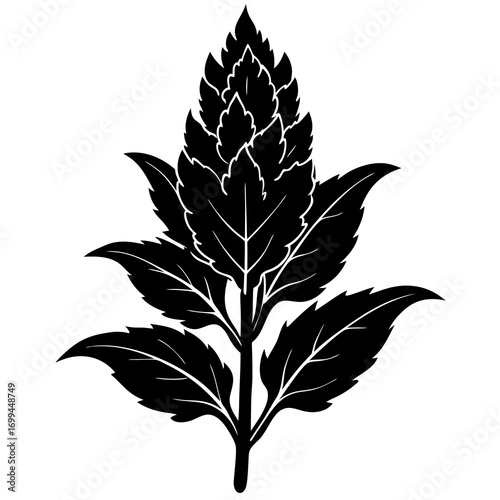 Stylized black silhouette of a hop cone with leaves on a white background