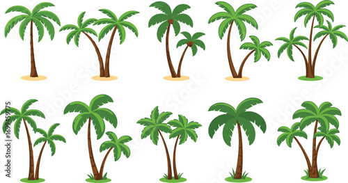 Tropical palm trees collection, green coconut trees, island vegetation, exotic nature plants, beach palms, tropical jungle illustrations, summer vacation greenery