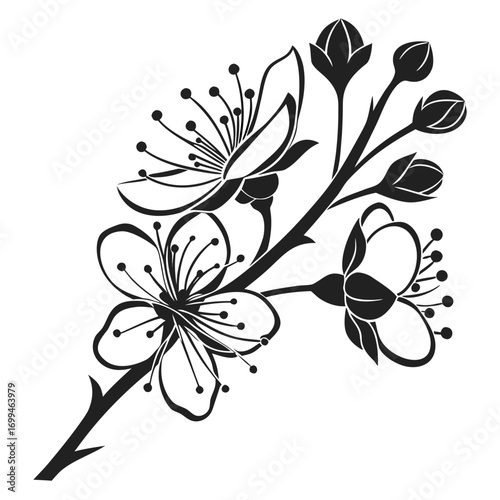 Black and white illustration of a blooming cherry blossom branch