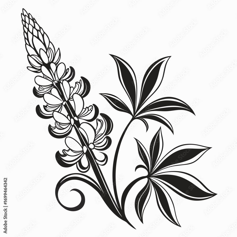 Fototapeta premium Stylized black and white illustration of a lupine flower and leaves