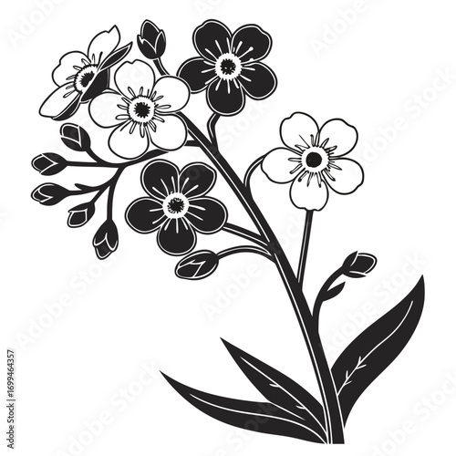 Black and white illustration of forget me not flowers and buds on a stem