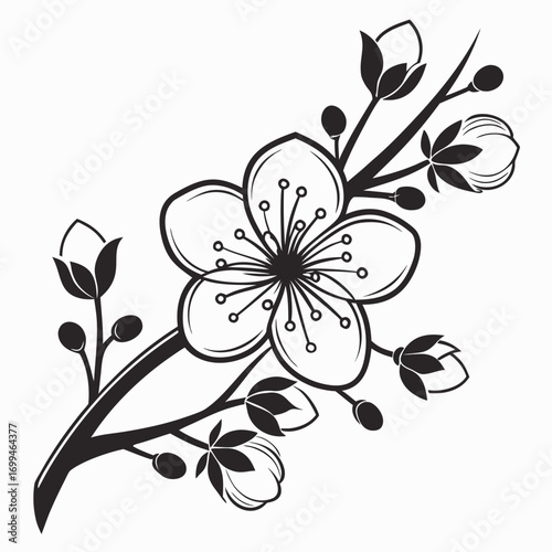 Black and white illustration of a blooming cherry blossom branch with buds