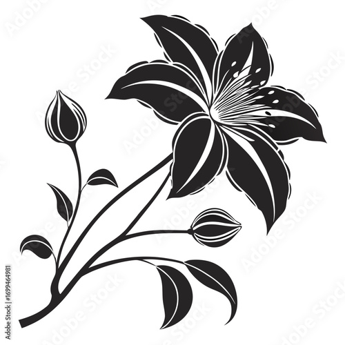 Black and white silhouette of a blooming lily flower with buds and leaves