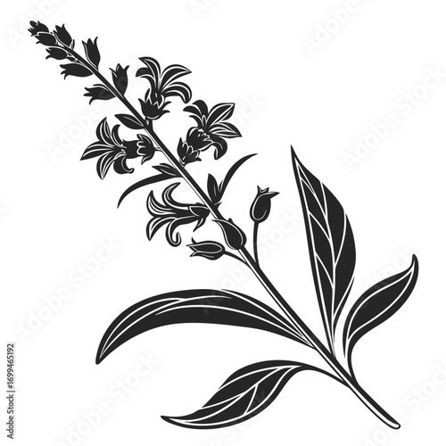 Black silhouette of a flowering plant branch with leaves
