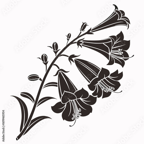 Black silhouette of foxglove flowers and buds on a stem