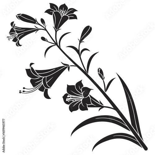 Black silhouette of a lily branch with flowers and buds