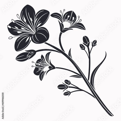 Elegant black silhouette of a flowering branch with buds
