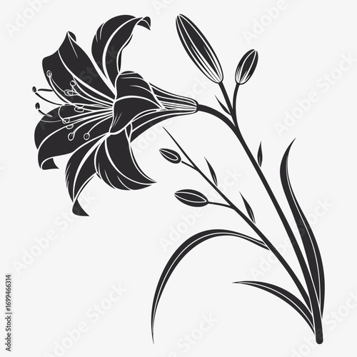 Elegant black silhouette of a lily flower with buds and leaves