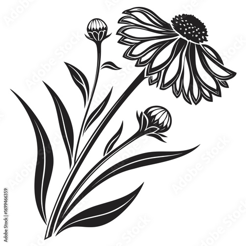 Stylized black and white illustration of a blooming echinacea flower with buds