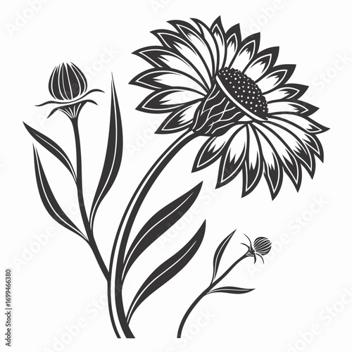 Stylized black and white illustration of a blooming flower and buds