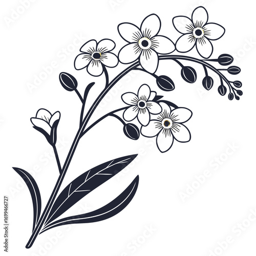 Stylized forget me not flowers and leaves in black and white