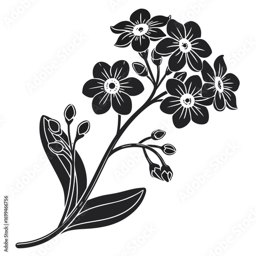 Black and white silhouette of forget me not flowers and buds