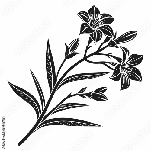 Black and white silhouette of a lily flower branch with buds and leaves
