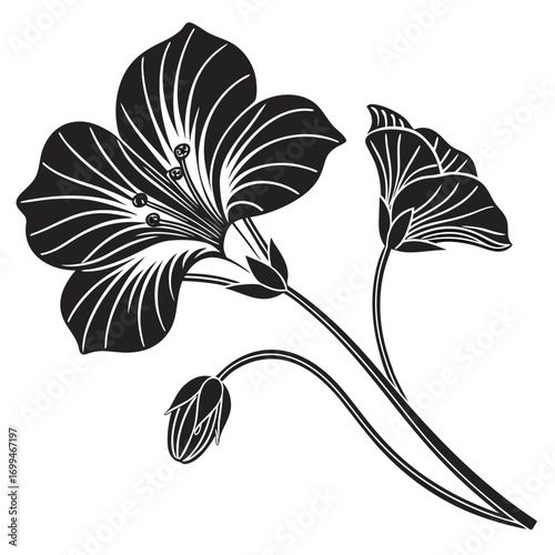 Elegant black and white floral illustration with buds and leaves