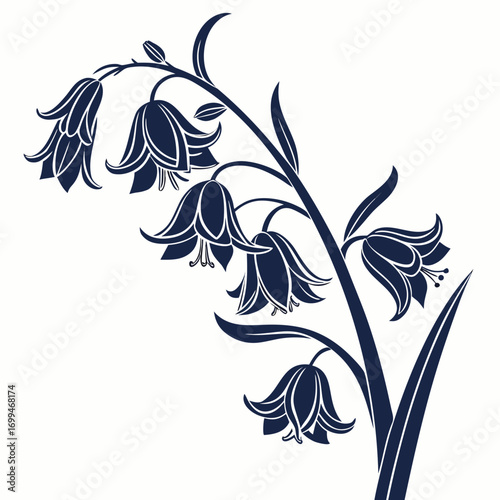 Dark blue bell flowers silhouette on white background