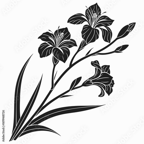 Black silhouette of lily flowers and buds on a white background