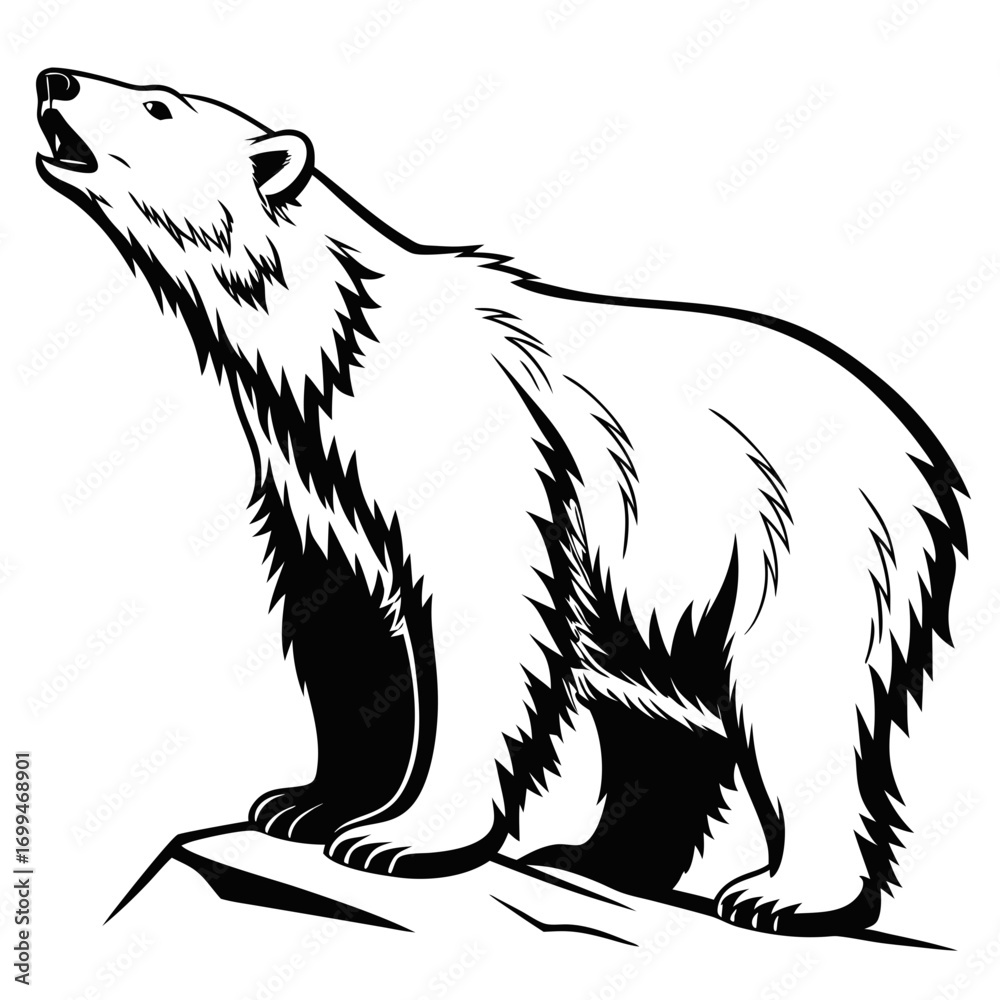 Fototapeta premium Stylized black and white illustration of a polar bear roaring on ice