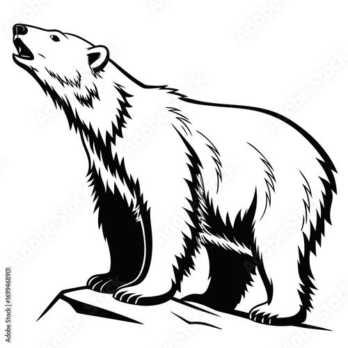 Stylized black and white illustration of a polar bear roaring on ice