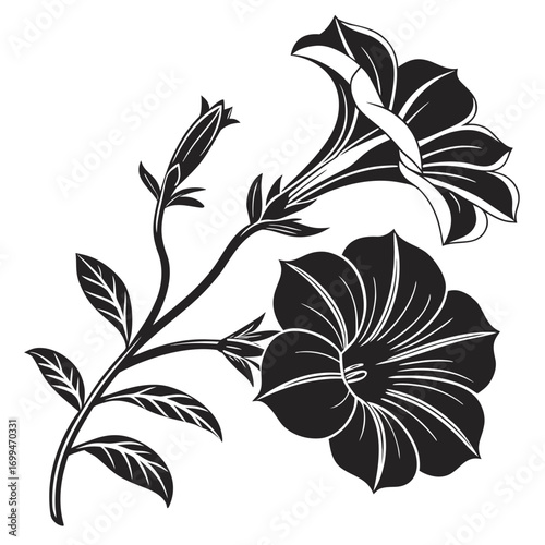 Black and white silhouette of two blooming petunias and buds on a branch