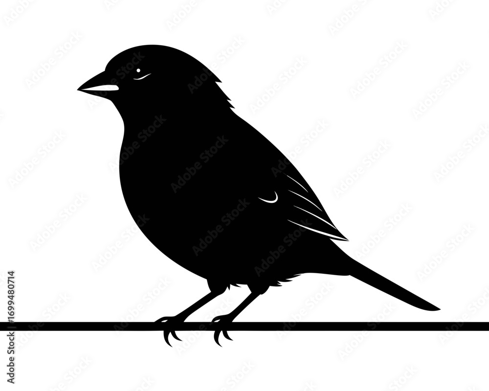 Fototapeta premium Black silhouette of a small bird perched on a thin horizontal line