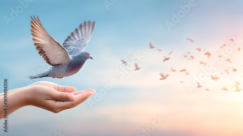 A pair of hands releasing a pigeon into a blue sky.
