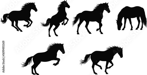 Silhouette of running and standing horses, horse vector illustration, black horse shapes, wild horse silhouettes, equine animals, nature and wildlife.