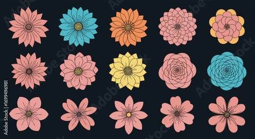 A collection of colorful decorative flowers for artistic design projects and visual appeal