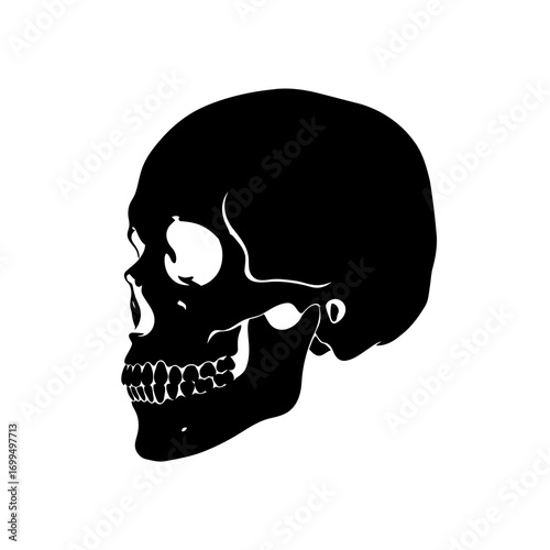 Black human skull silhouette isolated on white background