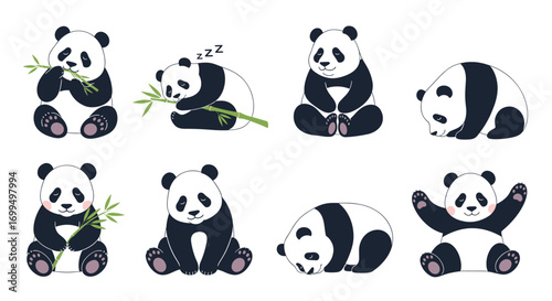 Adorable collection of cute pandas enjoying life and bamboo in various poses and activities