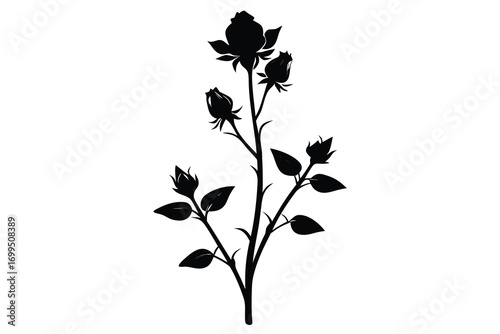 Black silhouette of a rose bush with buds and leaves on a white background