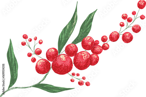 Festive Red Poinsettia adn red cherry Floral Arrangement for christmass