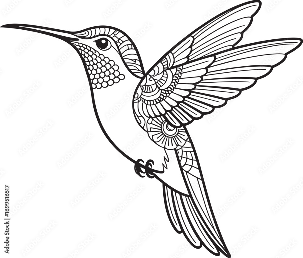 Obraz premium hummingbird flighting open wind father