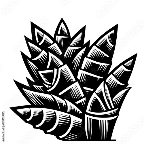 Illustration of a clustered bamboo shoots with black and white shading and pointed tips on a white background