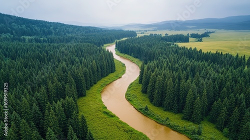 Aerial drone view of pine forest in Carpathian Mountains with brown river winding through meadow, natural landscape