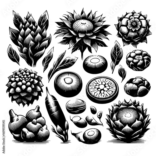 A collection of various monochrome botanical illustrations of artichokes and other plant elements