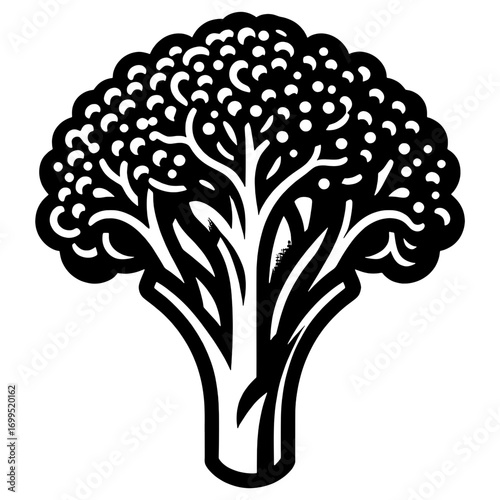 Illustration of a broccoli floret with detailed florets and thick stalk in black and white graphic style