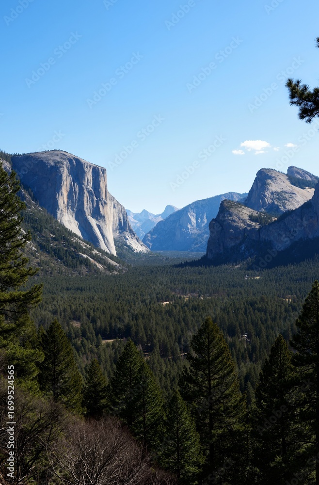Obraz premium mount rainier national park
