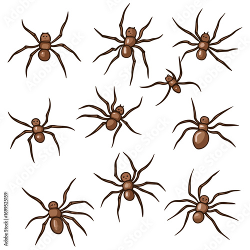 spiders, insect, halloween, festival, vector, transparent background, animal, arachnid, nature, cobweb, danger, spiderweb, scary, horror, creepy, pattern, predator, Spider Set, A bunch of spiders