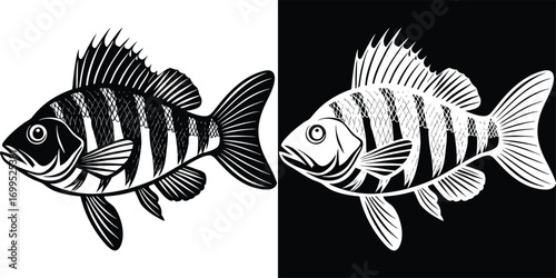 Bold graphic illustration of a striped perch fish in dynamic black and white contrast, perfect for aquatic themes