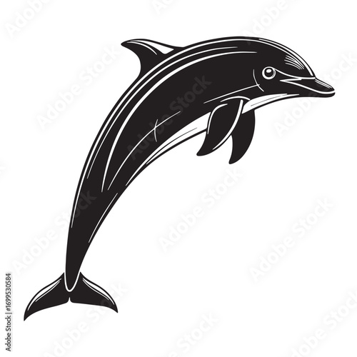 Black chilean dolphin Silhouette Vector, High Quality Illustration on White Background