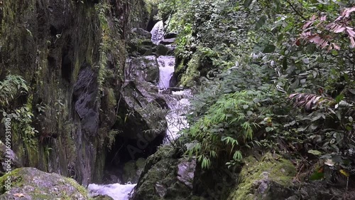 Stream in the rainforest of northern Thailand.