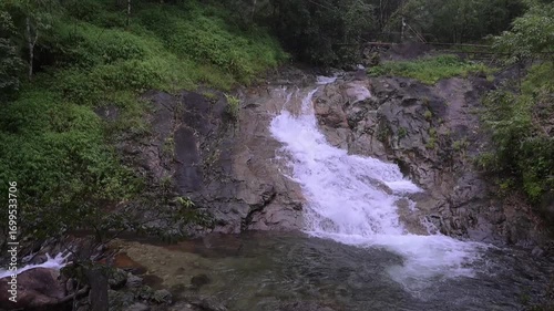 Small waterfall in the rain forest.