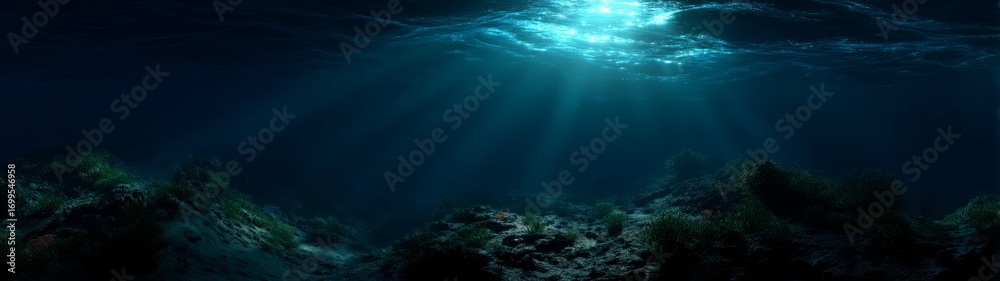 Fototapeta premium Underwater hdr panorama ocean depths tranquil